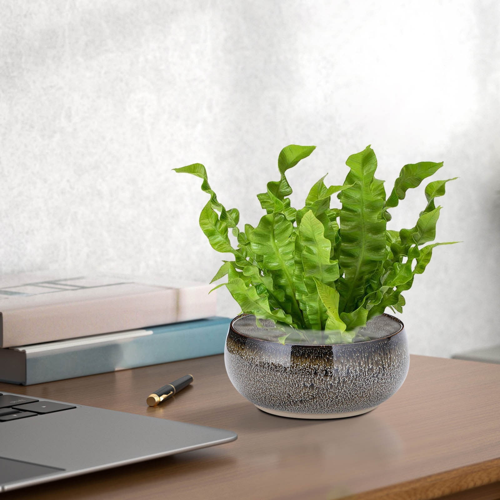 COM1950s Lotus Ceramic Hydroponic Planter Bowl,Water Gardening Flower Pot for Aquatic Plants,Elegant Home Decor Gift for Indoor Outdoor Garden Use