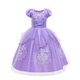 thumbnail image 1 of Vestido de Princesa Sofía para niñas, manga abullonada de fantasía, vestidos de fiesta con cuentas florales, disfraz de Princesa Sofía para Halloween Fivean unisex, 1 of 2