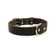 thumbnail image 1 of Collar de cuero para perros Mighty Paw, cuero desgastado súper suave, calidad superior, apariencia moderna y elegante, 1 of 5