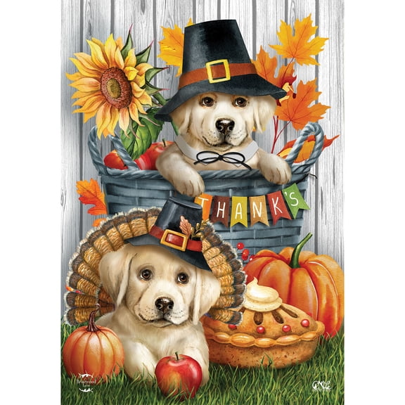 Briarwood Lane Fall Thanksgiving Garden Flag 12x18 For Outdoor Pilgrim Puppies For Thanksgiving Garden Flag Flags For Outside