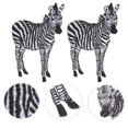 thumbnail image 1 of WASHWEPE 2Ud Parche Animal Bordado Multicolor Para Ropa Y Accesorios Tela Con, 1 of 6
