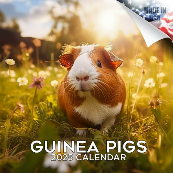 MegaCalendars 2026-2027 Guinea Pigs Wall Calendar, 12x12 Bonus Month Small Pet Edition, Made in USA