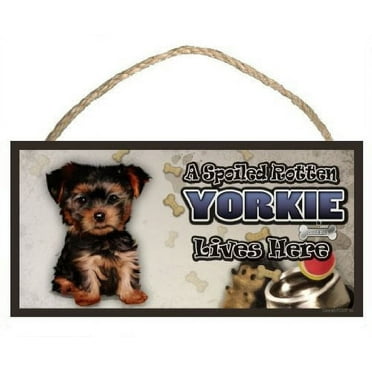 DGS Originals A Spoiled Rotten Yorkie Puppy (V2) Lives Here 5 x 10 Inch Dog Sign