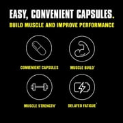 Universal Nutrition Animal Micronized Creatine Monohydrate - 300 Capsules