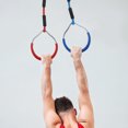thumbnail image 3 of FENGGUIQU 2Pcs Fitness Hanging Rings for Pull Ups and Push Ups Assorted Color 15.5X13.5CM Iron ABS Polyester, 3 of 8