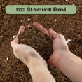 thumbnail image 3 of Monstera Houseplant Potting Soil Mix (12 Quarts) Custom Blend for Growing and Repotting, 3 of 3