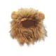 thumbnail image 1 of Greeniant Gorro de conejo y gato bonito y divertido de poliéster con orejas, accesorio Adorable para mascotas, peluca de melena de león para Ropa para mascotas Peluca Melena De León S, 1 of 6