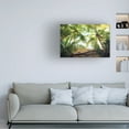 thumbnail image 4 of Trademark Fine Art Stefan Hefele Pirates Nest Canvas Wall Art, 4 of 4