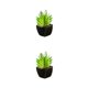 thumbnail image 3 of Plantas artificiales Wosthever en macetas de cerámica suculentas verdes tipo 1 2Conjunto, 3 of 6