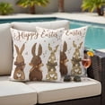 thumbnail image 4 of Easter Outdoor Waterproof Pillow Covers, Spring Bunny Retro Bow Retro Botanical Brown Decorative Square Throw Pillowcase Sofa Cushion Sham for Patio/Couch/Chair, 20"x20" 2 Pack, 4 of 8
