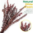 thumbnail image 3 of GoXteam 20pcs Dried Eucalyptus Stems, 17'' Natural Real Red Eucalyptus Leaves Branches Hanging Shower, Preserved Dried Plants for SPA Home Fragrance Bathroom Table Vase Decor, 3 of 7