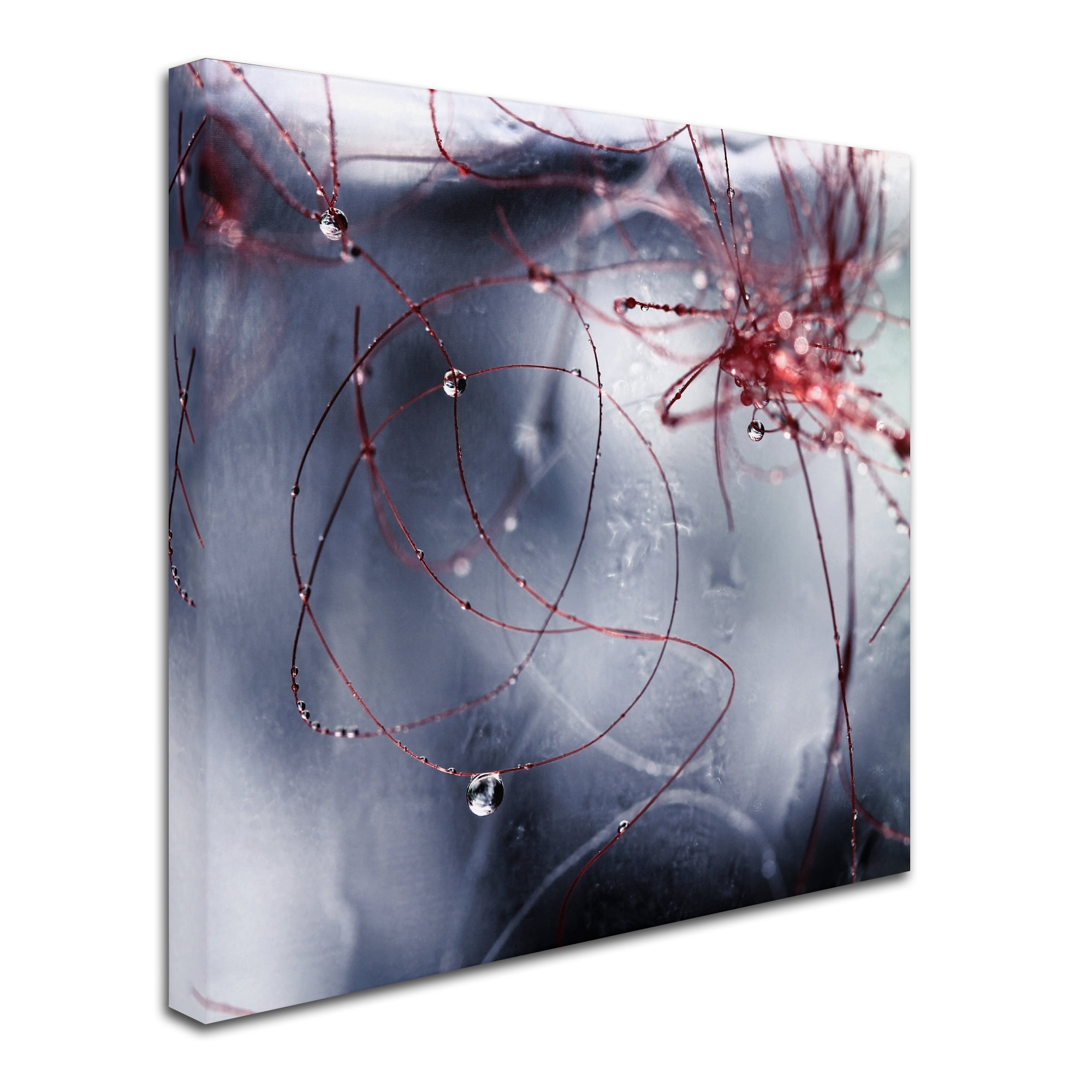 Trademark Fine Art "One Day I'll Find You" Canvas Art by Beata Czyzowska Young