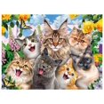 thumbnail image 1 of Rompecabezas Ceaco Selfies Amigos Felinos 550 Piezas, 1 of 8