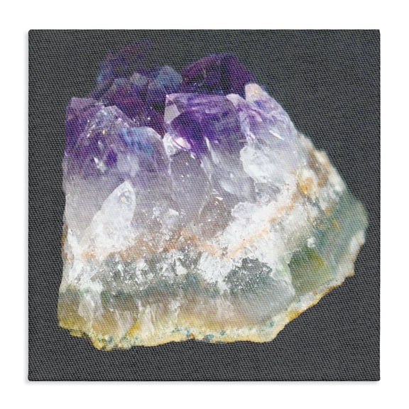 Stupell Industries Contemporary Amethyst on Subtle Grey Linen Canvas Photograph Canvas Art, 17 x 17, by Lil' Rue