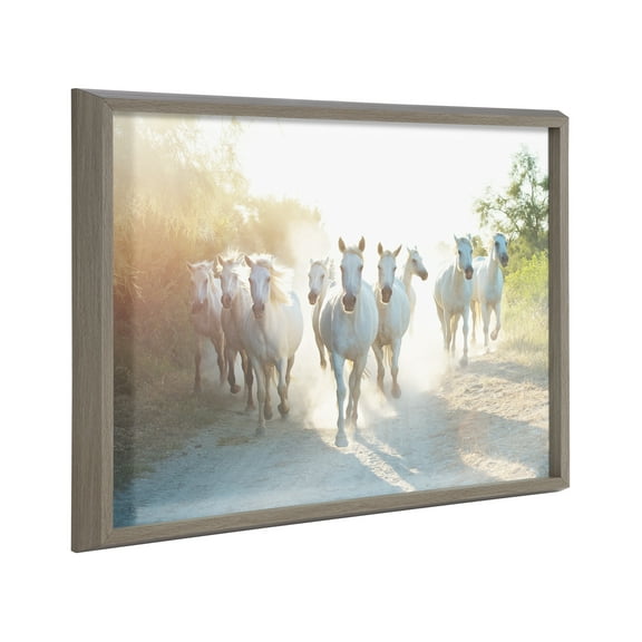 Kate and Laurel Blake Camargue Horse XIII Framed Printed Glass Wall Art by Laura Evans, 18x24 Gray, Majestic Horse Art for Wall