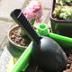 thumbnail image 1 of Pala de jardín de plástico negro, paleta de plantas, herramientas de jardinería para bonsái y tierra, 1 of 2