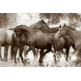thumbnail image 2 of Dearing, Lisa 18x13 White Modern Wood Framed Museum Art Print Titled - The Herd, 2 of 4