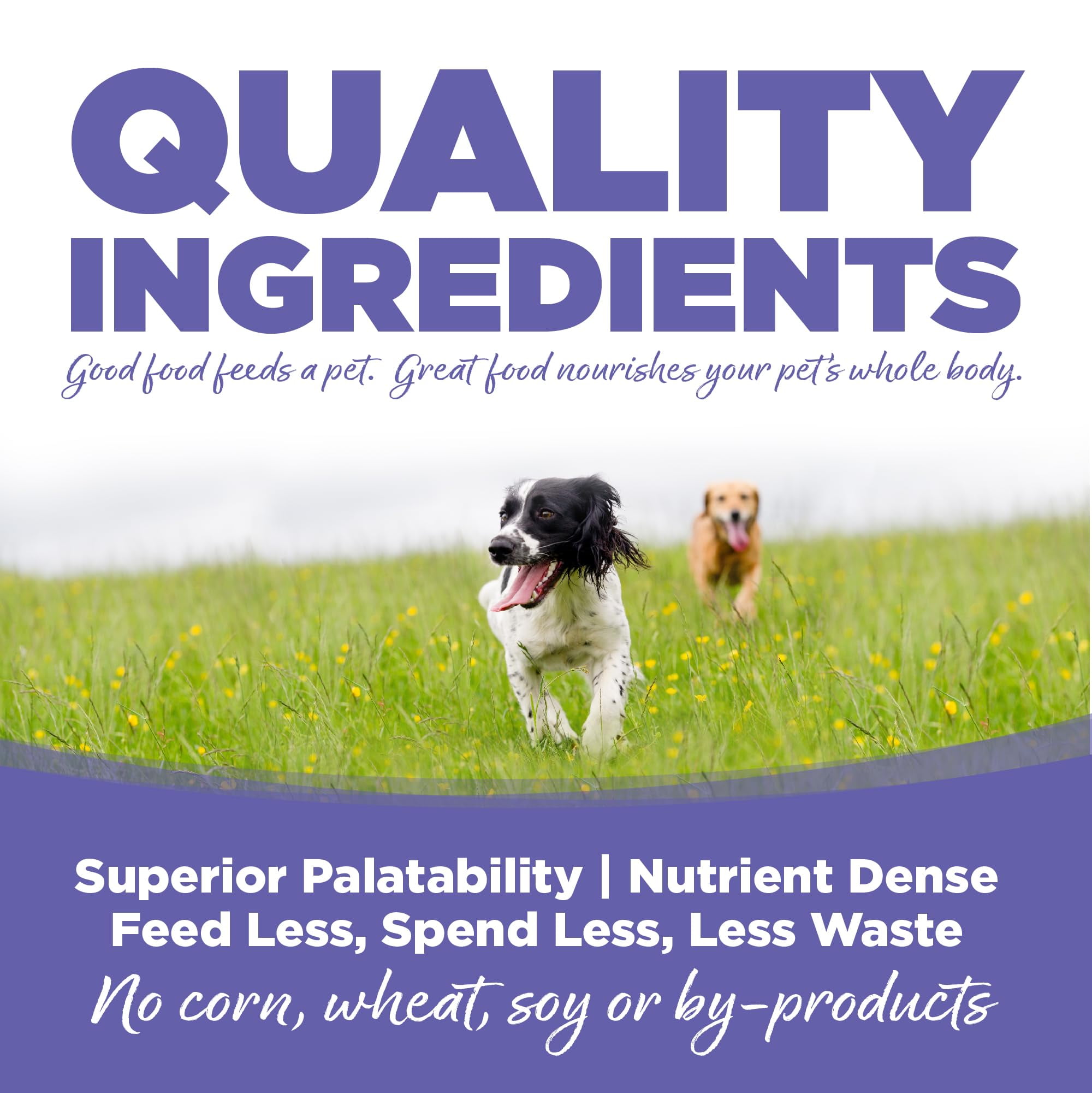 NutriSource Small & Medium Breed Puppy Chicken Meal & Rice Recipe Dog Food 12 lb