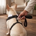 thumbnail image 4 of Dog Tuxedo with Chest Strap and Leash, Pet Suit Set for Small Medium Dog Formal Occasion Dress Up Festival Party Photo Prop Black L, 4 of 4