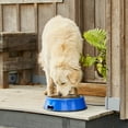 thumbnail image 6 of HEATED BOWL SS 5.5QT BL 60W Pet Heated Bowl with Stainless Steel Insert for Pets, Blue, 6 of 8