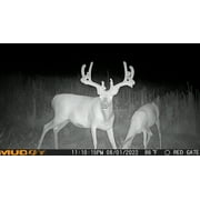 Muddy Matrix Dual Network Cellular Trail/Game Camera, 36MP