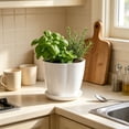 thumbnail image 6 of romoty Flower Petal Shaped Plastic Plant Pot with Saucer White, 6.3 in Lightweight Decorative Succulent Planter with Drainage Hole for Indoor Outdoor Desk Garden Decor, 6 of 6