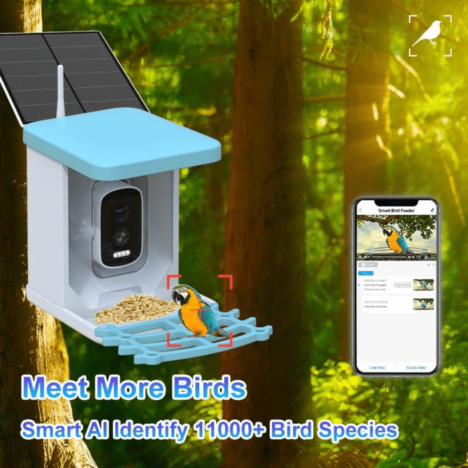 Bird Feeder with 5MP HD Camera & Solar Panel AI Bird Species Identification Smart Bird House - Live View Auto Capture Video for Backyard - Gifts for Bird Lovers