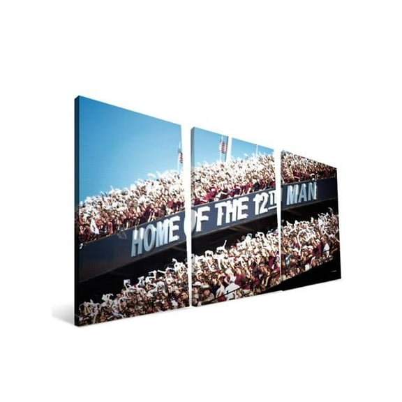 Texas A&M 16x36 Kyle Field Canvas
