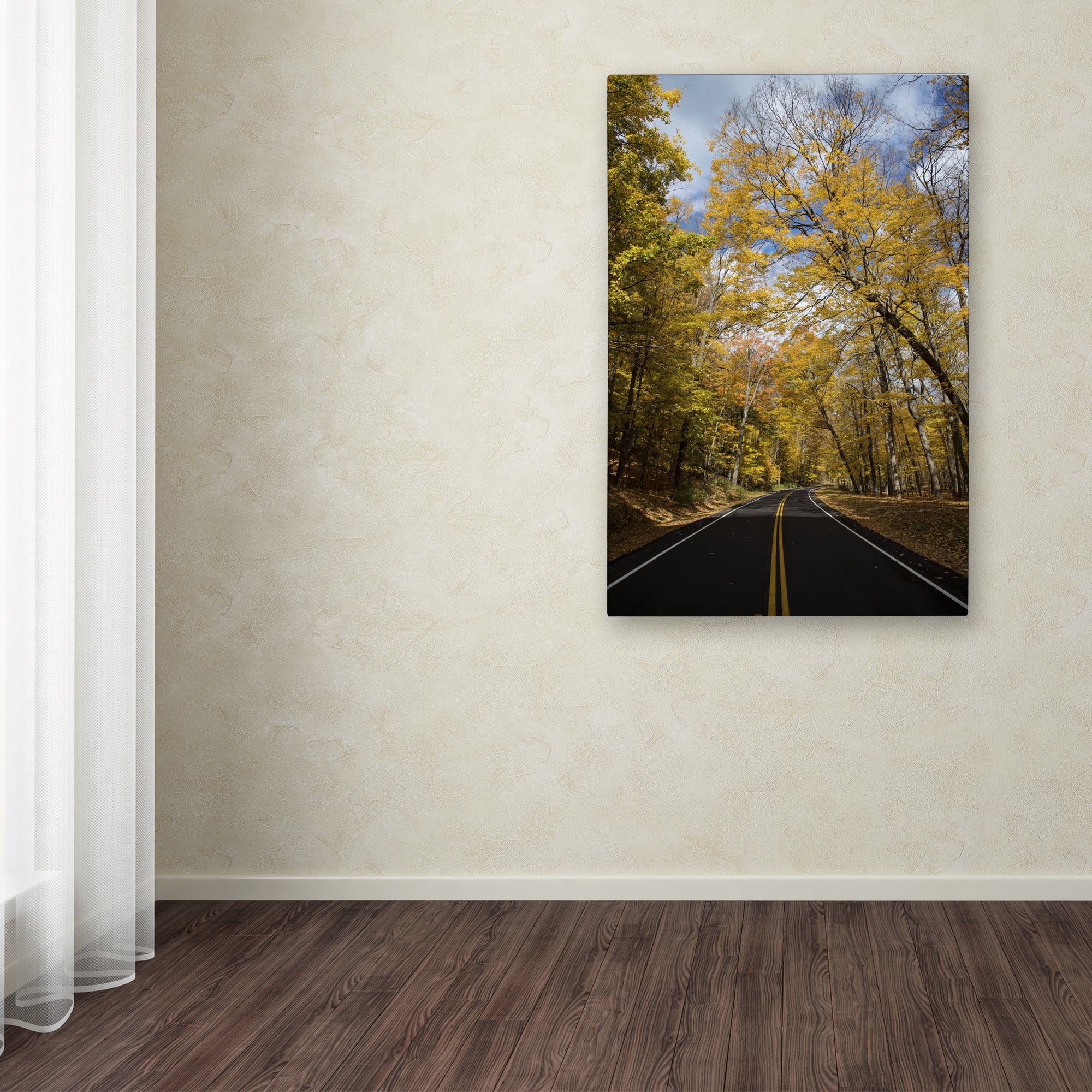 "Autumn Along the Valley Parkway 2" Canvas Art by Kurt Shaffer