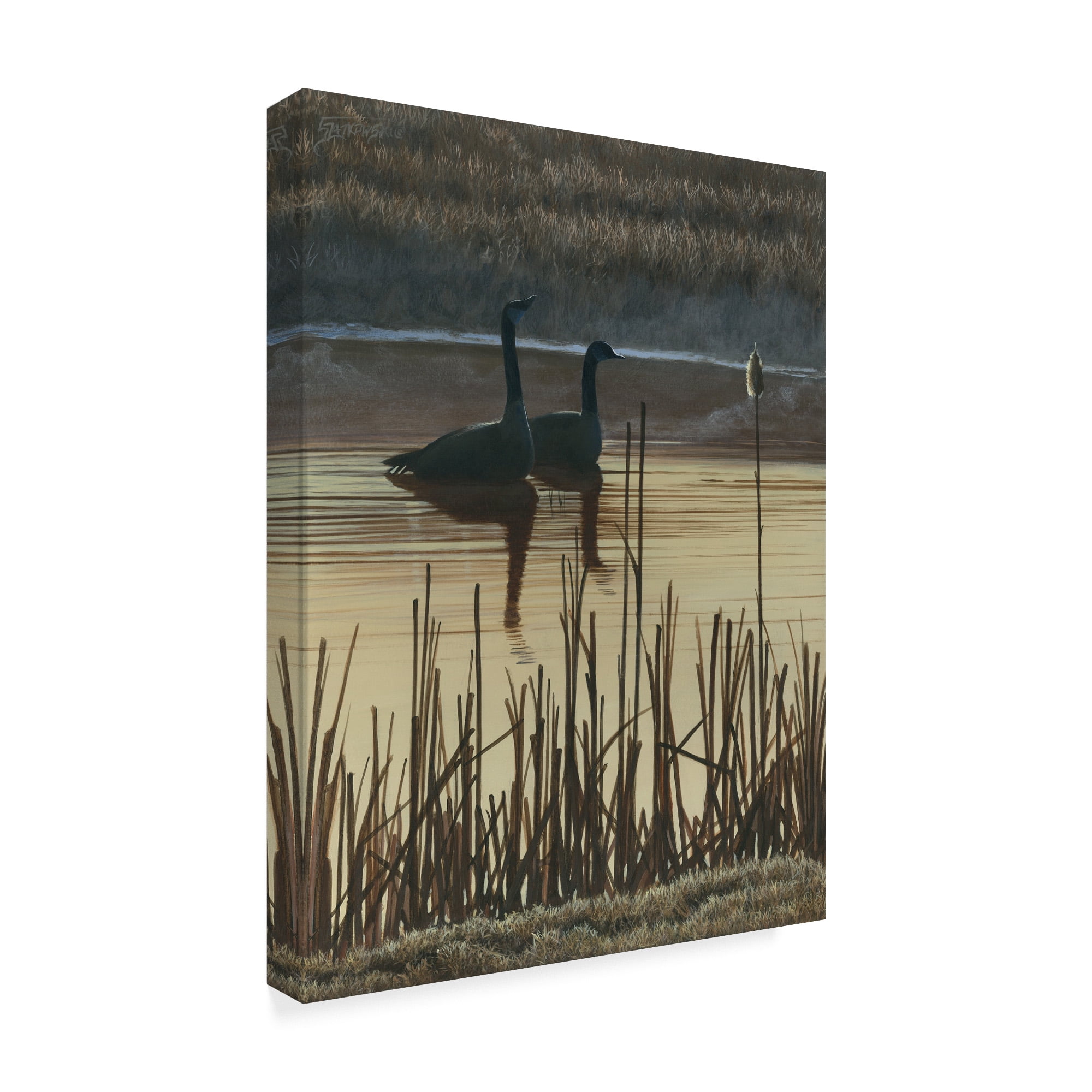 Trademark Fine Art 'First Light Ducks I' Canvas Art by Fred Szatkowski
