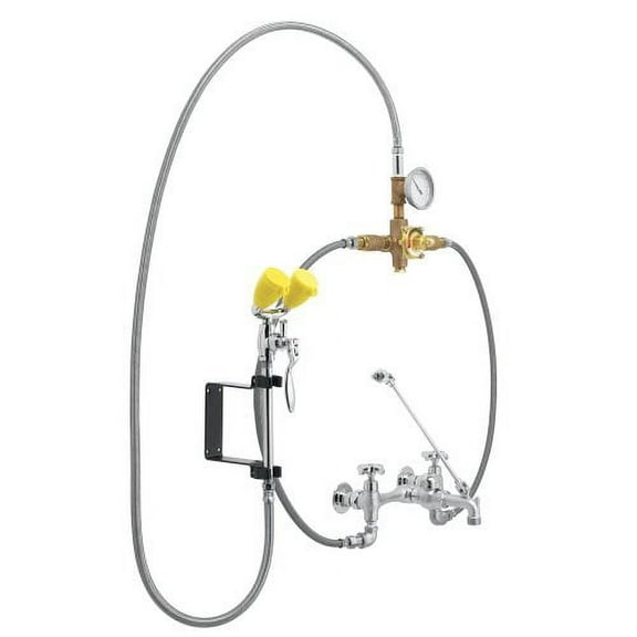 Speakman Eyesaver SEF-9000-TW Service Sink Faucet with Eyewash Thermostatic Mixing Valve, Rough Chrome Plated