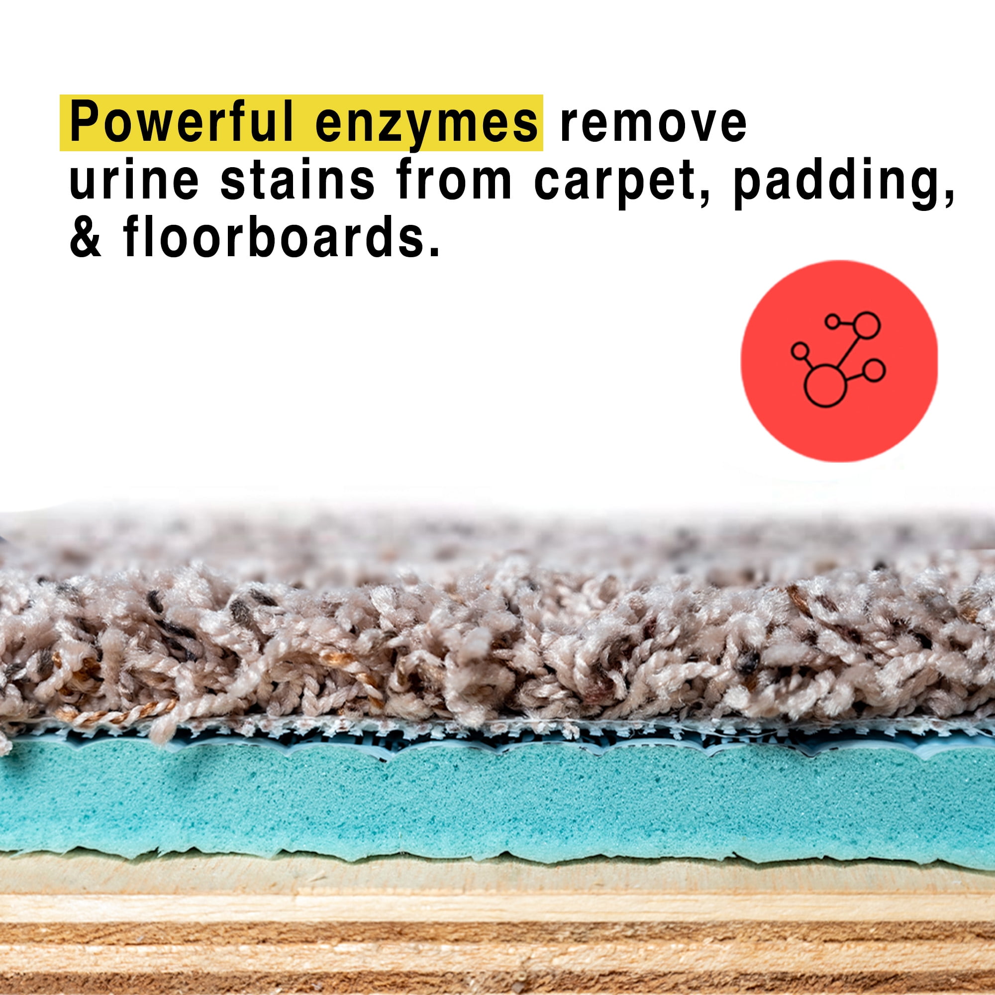 Urine Gone! Pet Stain Odor Remover, 24 Fluid Ounce
