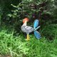 thumbnail image 3 of Estatuas de de Gallo Escultura de Pollo Decoraciones blanco, 3 of 9