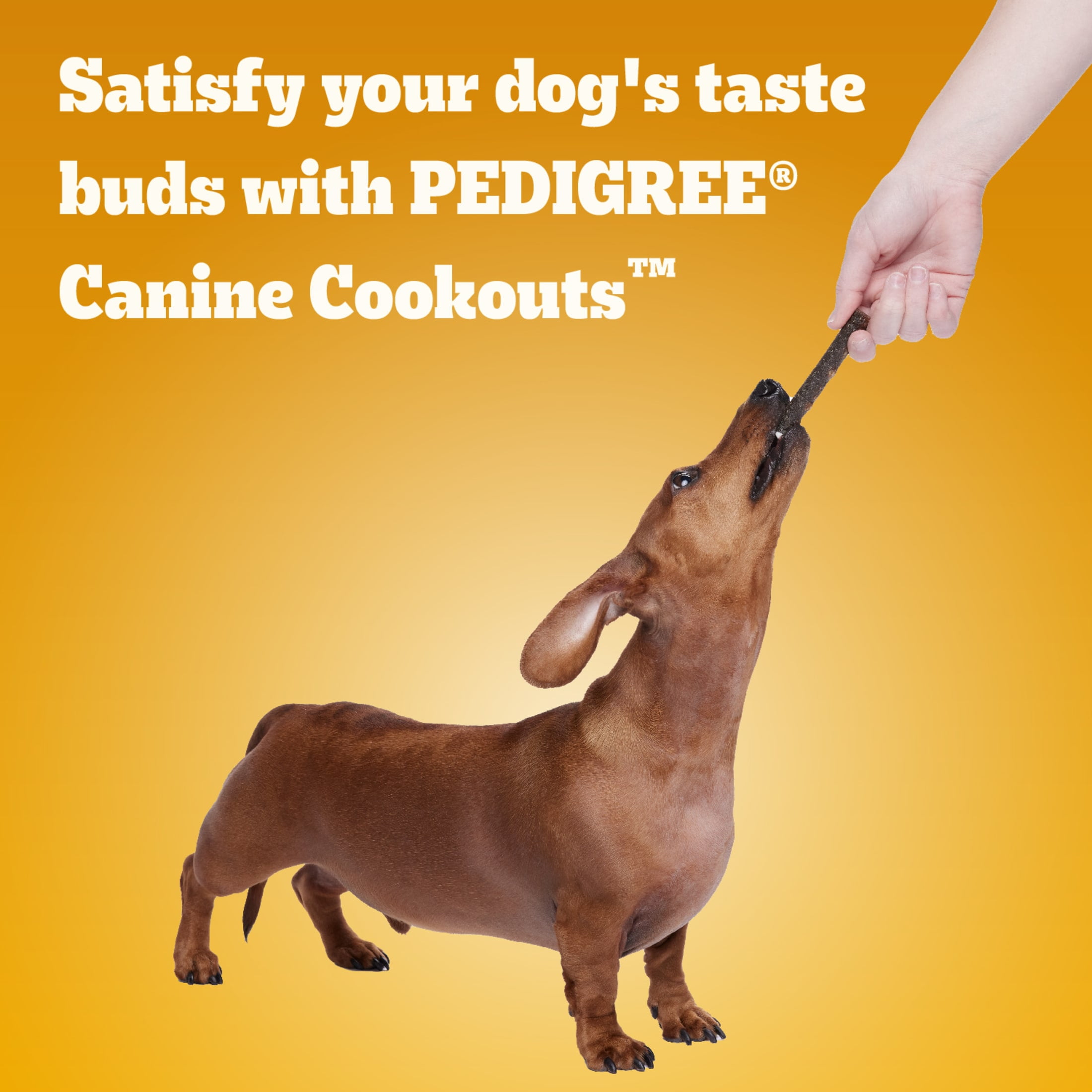 Pedigree Canine Cookout Soft Dog Treats, Beef Flavored Meaty Sticks, 5.36 Oz Bag