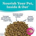 Solid Gold Mighty Mini Small Breed Dog Food, Dry Dog Food for Toy Breed