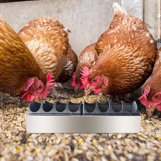 Comedero para aves de corral, dispensador de alimento para , de acero inoxidable, con múltiples orificios, bandeja de alimentación para aves 40 cm x 10 cm