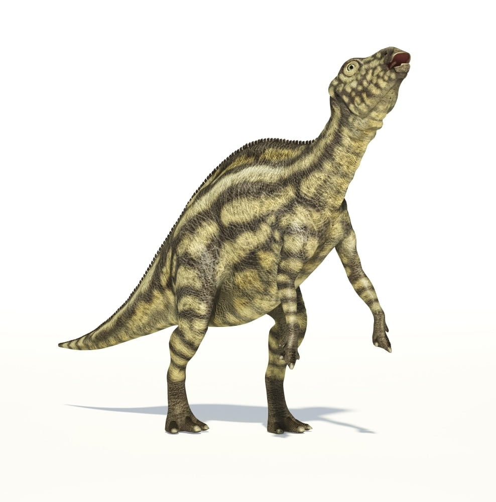 maiasaura toy