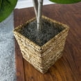 thumbnail image 4 of LCG Florals 38" Artificial Mini Fiddle Leaf Fig Tree in Handwoven Basket, 4 of 5