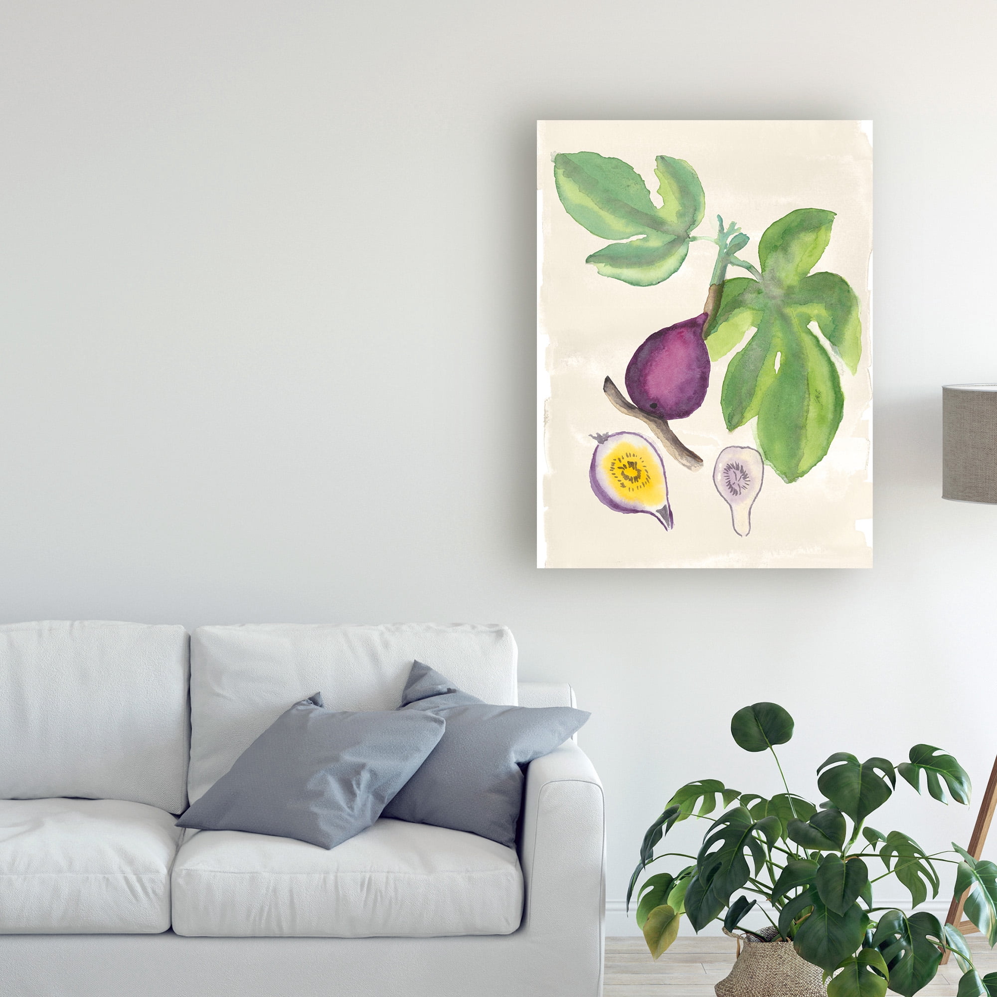 Trademark Fine Art 'Watercolor Fruit I' Canvas Art by Naomi Mccavitt