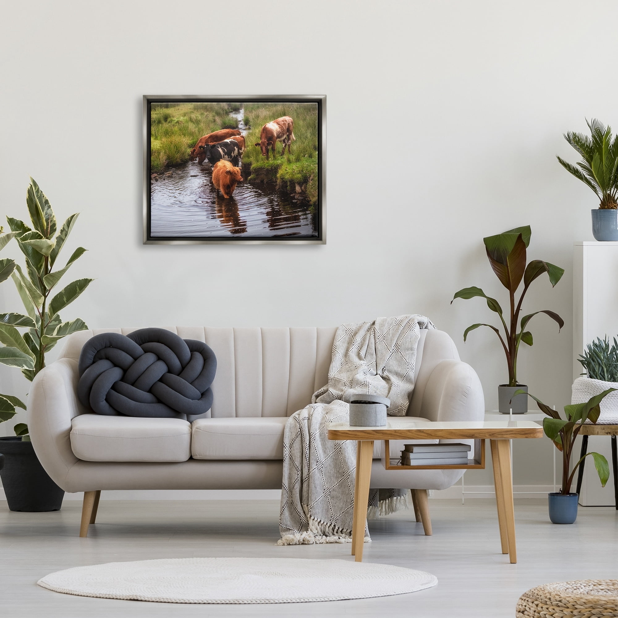 Stupell Industries Rural Cattle Enjoying Stream Water Between Grassland Photograph Luster Gray Floating Framed Canvas Print Wall Art, Design by James Dobson