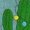 Green, variant on Funny Santa Cactus Embroidered Tsshirt – Western Succulent Christmas Shirt