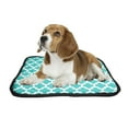 thumbnail image 2 of ABPHQTO Turquoise Quatrefoil Pattern Pet Dog Cat Bed Pee Pads Mat Cushion Potty Dogsblankets Crate Bed Kennel 36x48 inch, 2 of 4