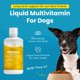 thumbnail image 3 of Vitaminas para perros Paramount Pet Health 946 ml con probióticos, 3 of 9