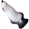 thumbnail image 1 of Bangcool Kitten Fish Toy Plush Cotton Realistic Cat Chewing Toy Cat Playing Toy for Home, 1 of 10