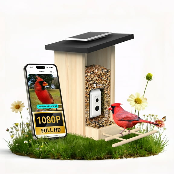 Birdfy Smart Bird Feeder with Camera, Bird Watching Camera with Solar Panel, AI Identify 6000  Species, Eco-friendly Wooden, Ideal Gift, Ebony