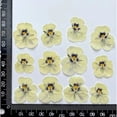 thumbnail image 3 of Wisewang Pressed Non-Edible Flowers, Fashion Soft Sturdy And Suitable For Cake Embellishments, Prom Craft Projects. Vibrant Colorful 48 Film, 3 of 6