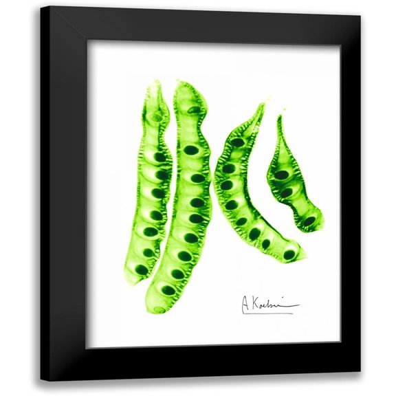 Koetsier, Albert 12x14 Black Modern Framed Museum Art Print Titled - Carob Formation 2