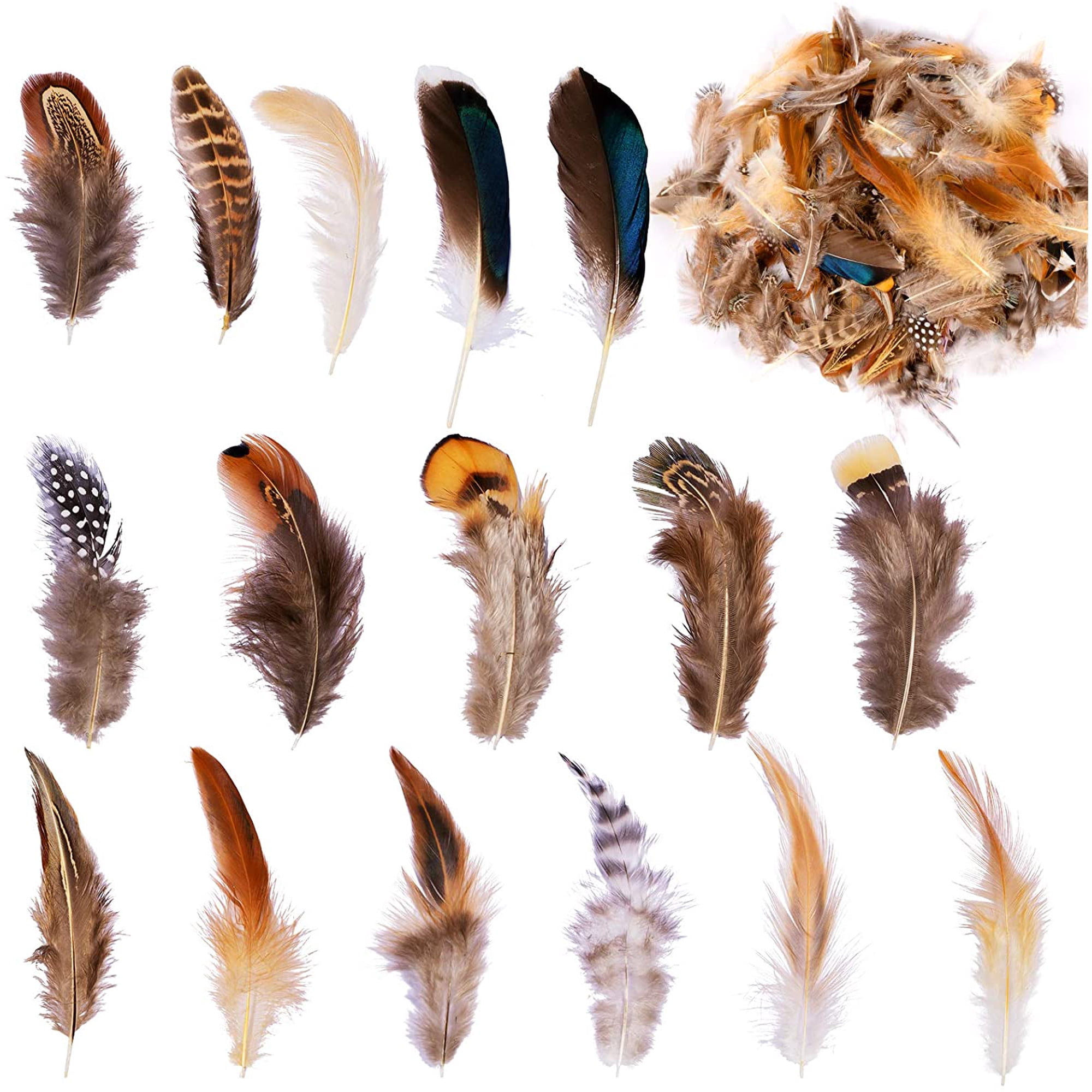 40 Pièces Plumes Naturelles Dinde Et Faisan Mixtes - Fournitures Artisanat 4 Styles