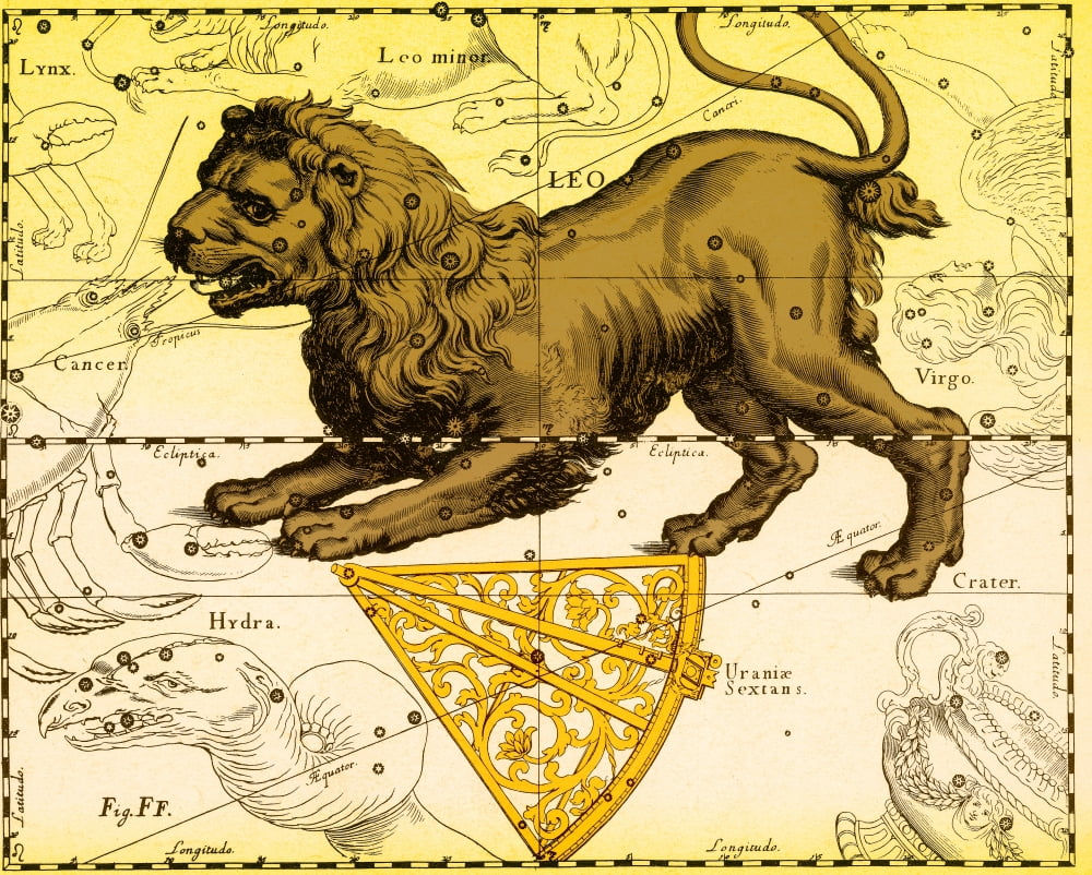 Фигура льва созвездие. Созвездия зодиака Лев. Созвездие Лев гевелий. Созвездие Льва мифология.