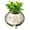 Beige, variant on Swing Face Planter Pot, Cute Hanging Resin Flower Head Pot for Indoor Outdoor Plants, Decorative Succulent Pot with Drainage Hole, Gift for Plant Lovers, 5.6 Inch